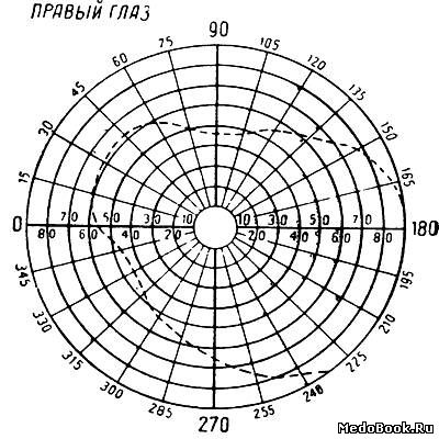 Поля зрения бланк