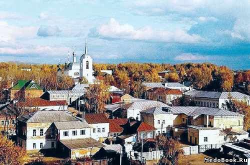 Пейзаж города Ардатов