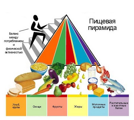 Пищевая пирамида здорового питания