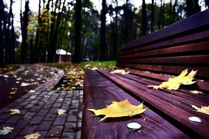 Осень - грустная пора
