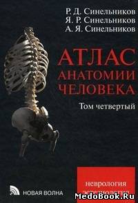 Скачать бесплатно книгу, учебник по медицине Атлас анатомии человека, 4 том, Р.Д. Синельников, 2003 г.
