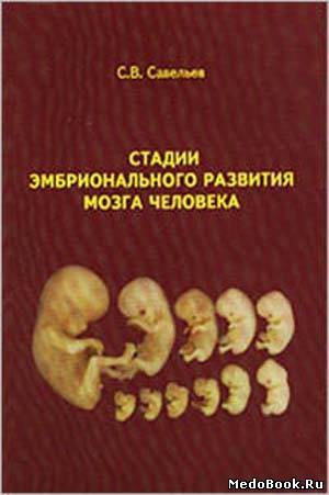 Скачать бесплатно книгу Стадии эмбрионального развития мозга человека, Савельев С.В., 2002 г.