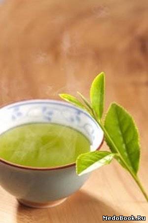Скачать бесплатно книгу, учебник по медицине Зеленый чай в профилактике заболеваний