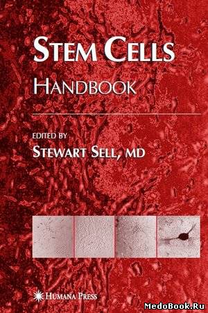 Скачать бесплатно книгу, учебник по медицине Стволовые клетки, Stewart Sell, 2004 г.