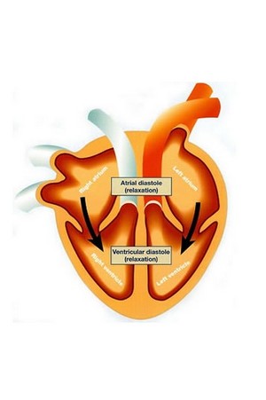 Скачать бесплатно книгу, учебник по медицине Анализ сердечного сокращения при травматическом шоке