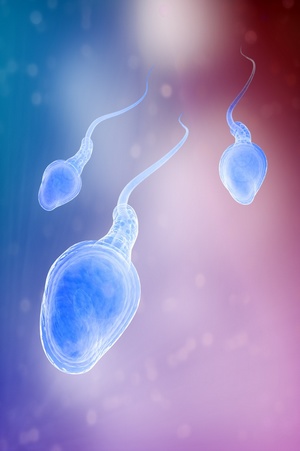 Скачать бесплатно книгу, учебник по медицине Сперматорея