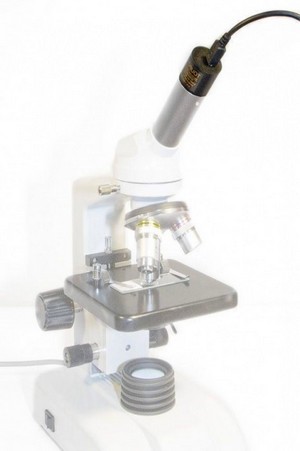 Скачать бесплатно книгу, учебник по медицине Особенности эксплуатации цифровых камер для микроскопов