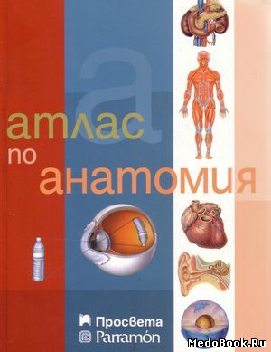 Скачать бесплатно книгу Атлас по анатомии, А. Касан, 2005 г.