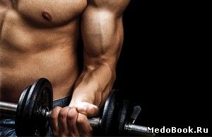 быстрый рост мышц