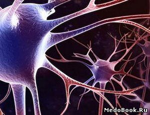 Нарушения передачи импульса в нейронах мозга при возникновении энцефалопатии